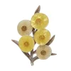 A Walk In The Wattle Brooch