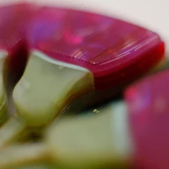 Hum Of The Gum Brooch