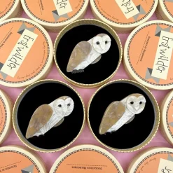 Miah Masked Owl Brooch