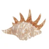 Mobile Home Shell Brooch