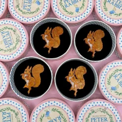 Squirrel Nutkin Brooch