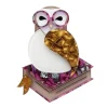 Studious Snow Owl Brooch