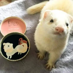 Sunny Smiles Ferret Brooch